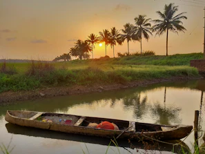 A serene backwater boat gliding past lush green palms under a golden sunset.