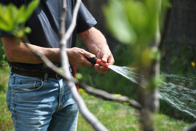 5 Best Pruning Shears of 2026