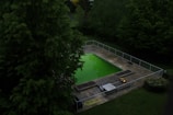 A rectangular swimming pool surrounded by a paved area is nestled within a lush, green garden. The water in the pool appears vibrant green, possibly due to algae. The area is enclosed by a metal fence, and the surrounding trees are dense with foliage.