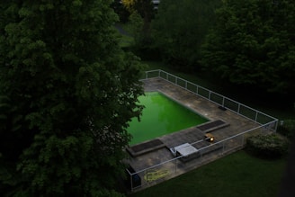 A rectangular swimming pool surrounded by a paved area is nestled within a lush, green garden. The water in the pool appears vibrant green, possibly due to algae. The area is enclosed by a metal fence, and the surrounding trees are dense with foliage.