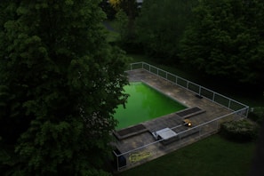 A rectangular swimming pool surrounded by a paved area is nestled within a lush, green garden. The water in the pool appears vibrant green, possibly due to algae. The area is enclosed by a metal fence, and the surrounding trees are dense with foliage.