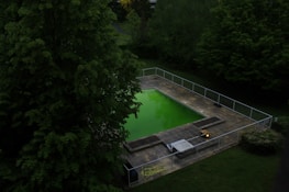 A rectangular swimming pool surrounded by a paved area is nestled within a lush, green garden. The water in the pool appears vibrant green, possibly due to algae. The area is enclosed by a metal fence, and the surrounding trees are dense with foliage.