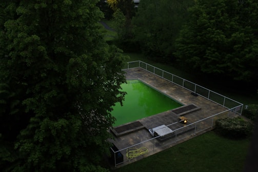 A rectangular swimming pool surrounded by a paved area is nestled within a lush, green garden. The water in the pool appears vibrant green, possibly due to algae. The area is enclosed by a metal fence, and the surrounding trees are dense with foliage.