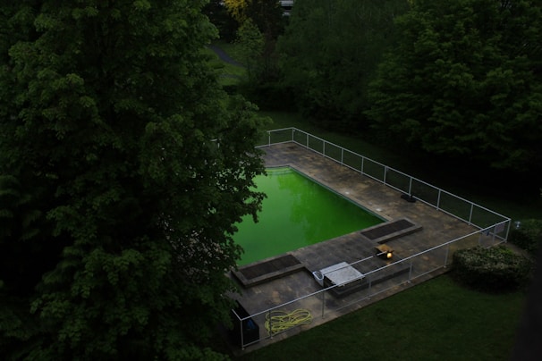A rectangular swimming pool surrounded by a paved area is nestled within a lush, green garden. The water in the pool appears vibrant green, possibly due to algae. The area is enclosed by a metal fence, and the surrounding trees are dense with foliage.
