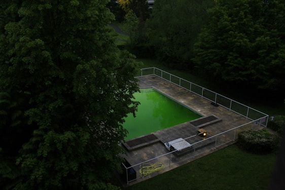 A rectangular swimming pool surrounded by a paved area is nestled within a lush, green garden. The water in the pool appears vibrant green, possibly due to algae. The area is enclosed by a metal fence, and the surrounding trees are dense with foliage.