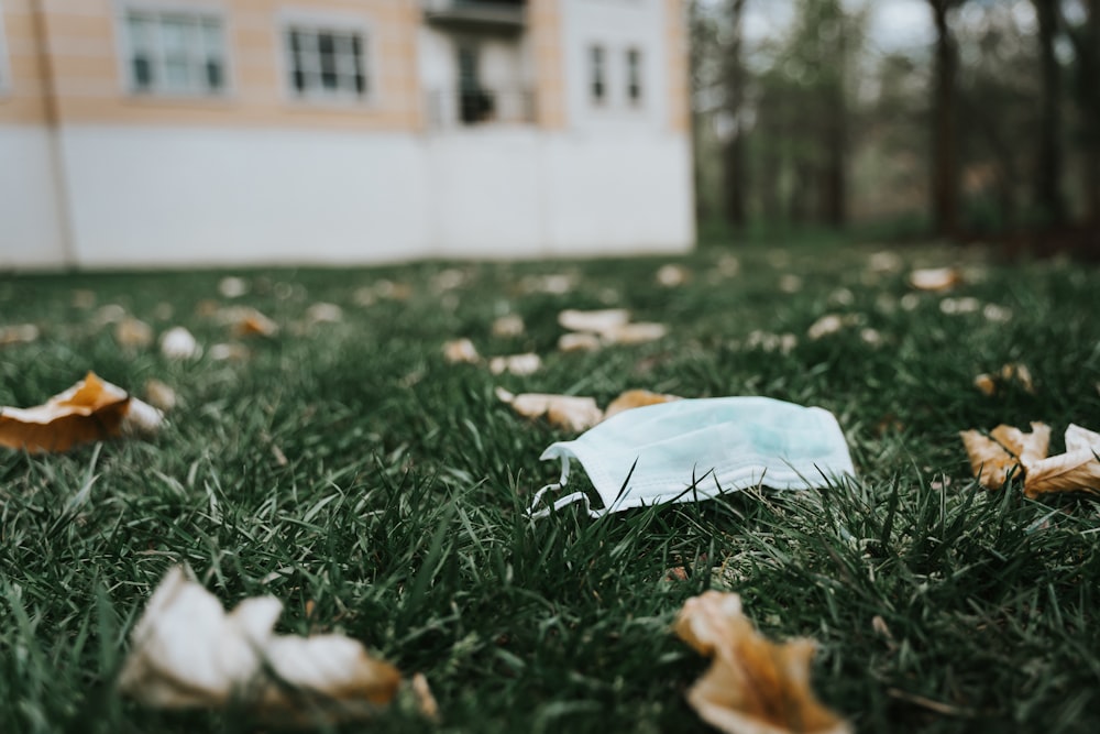 white textile on green grass during daytime