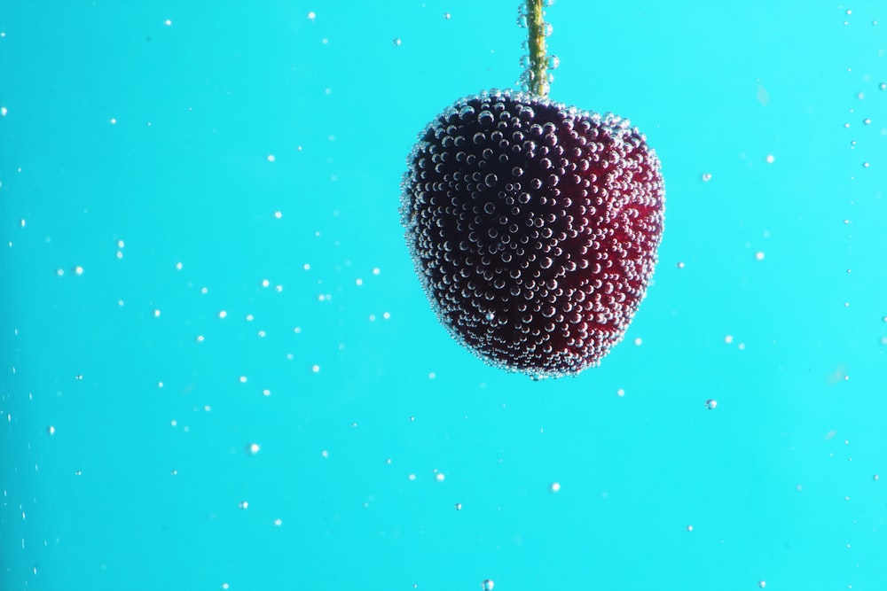 red and white round fruit