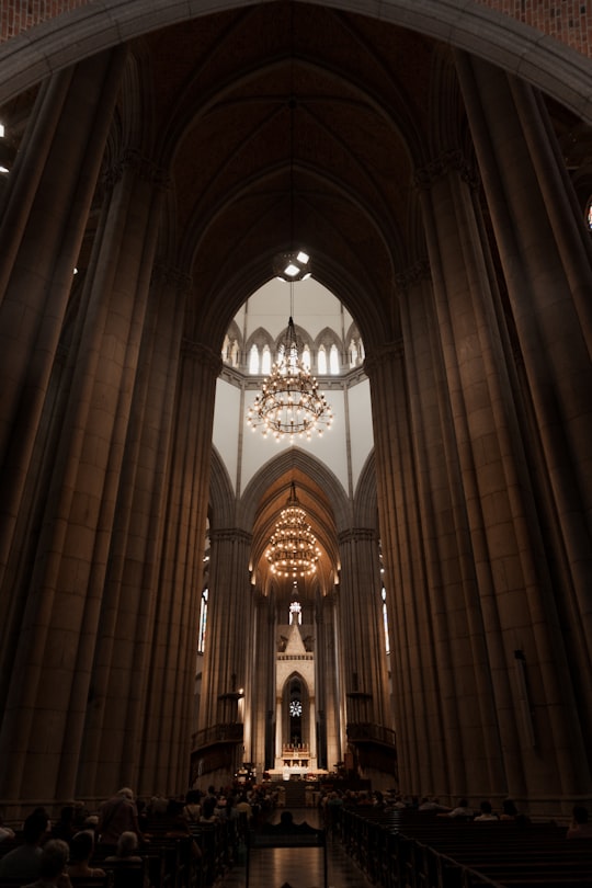 brown and white concrete building in São Paulo Cathedral Brasil