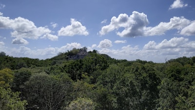 Lush tropical forest landscape surrounding the historic sites of Namatoto.