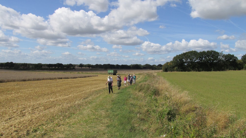 people walking on green grass field under blue and white cloudy sky during daytime