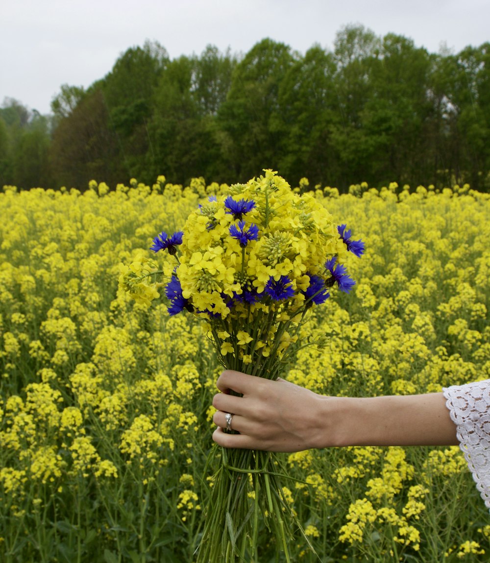 person holding yellow flower field during daytime