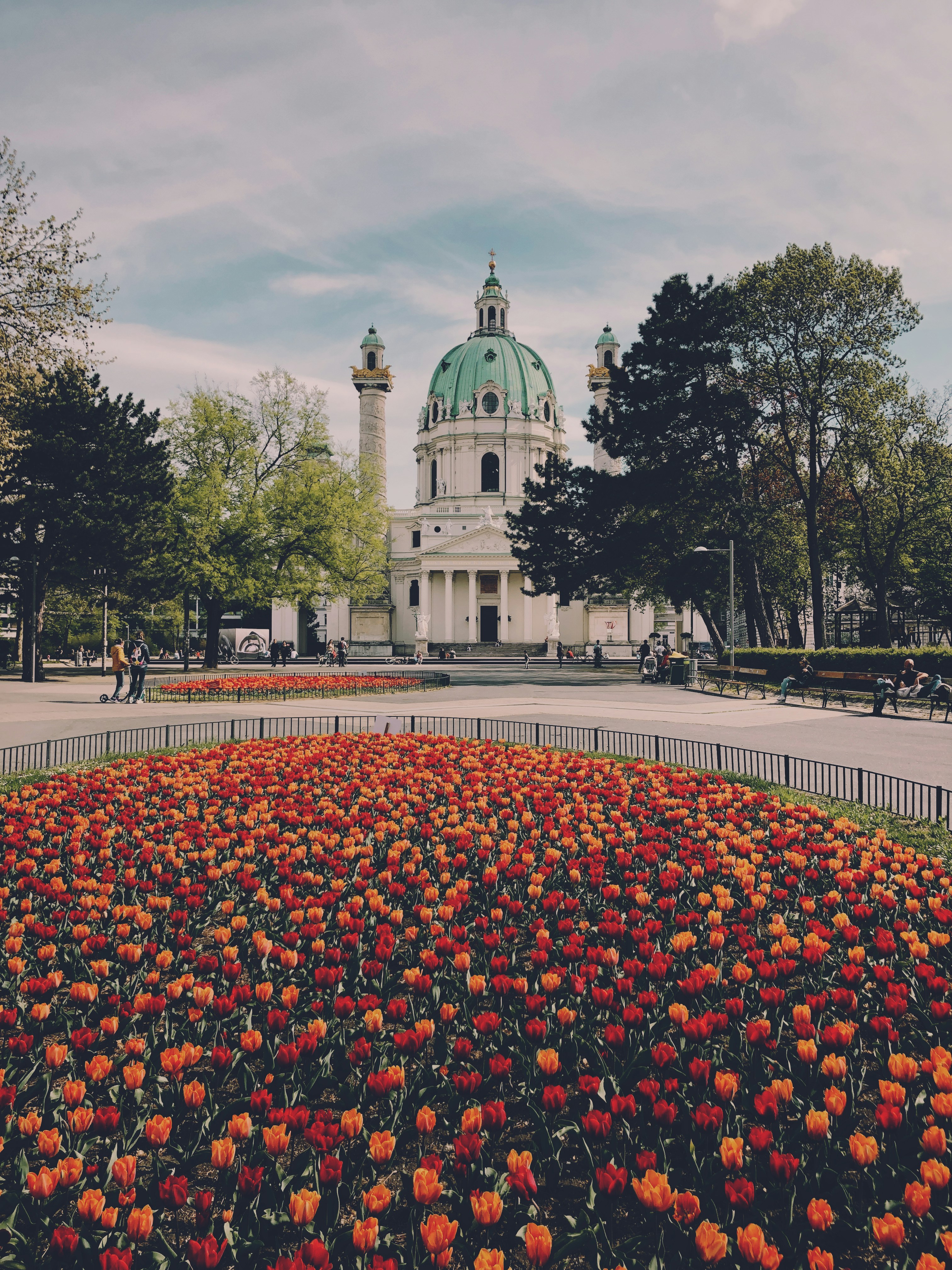 un grande campo di fiori davanti a un edificio