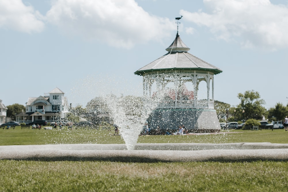 water fountain in the middle of green grass field