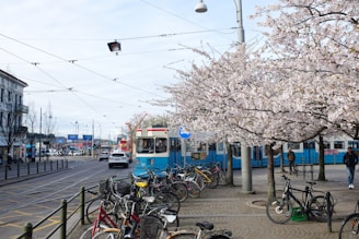 first-visit-gothenburg-guide-city-coast
