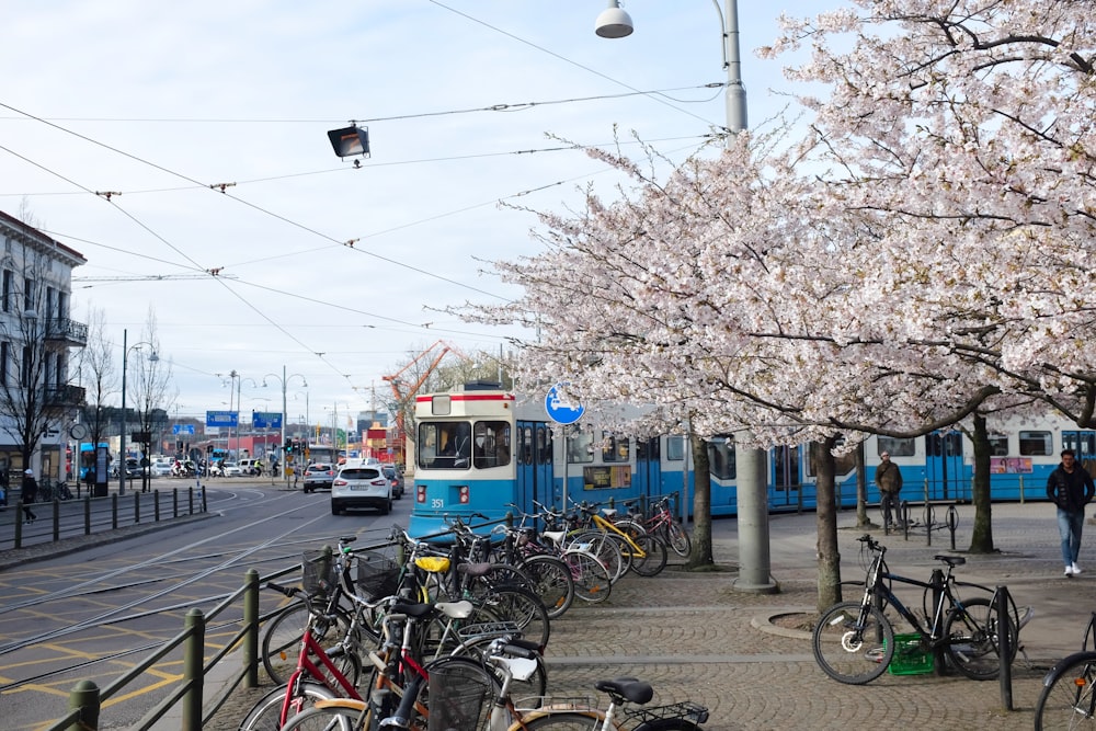 bicycles parked beside blue metal post