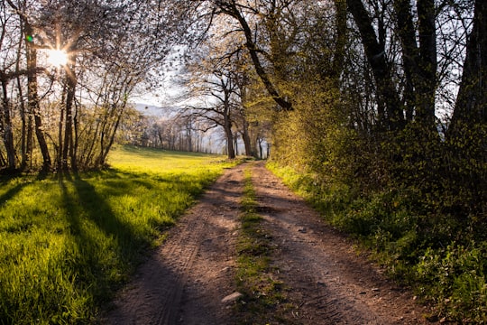 brown dirt road between green grass field and trees during daytime in Haute-Savoie France