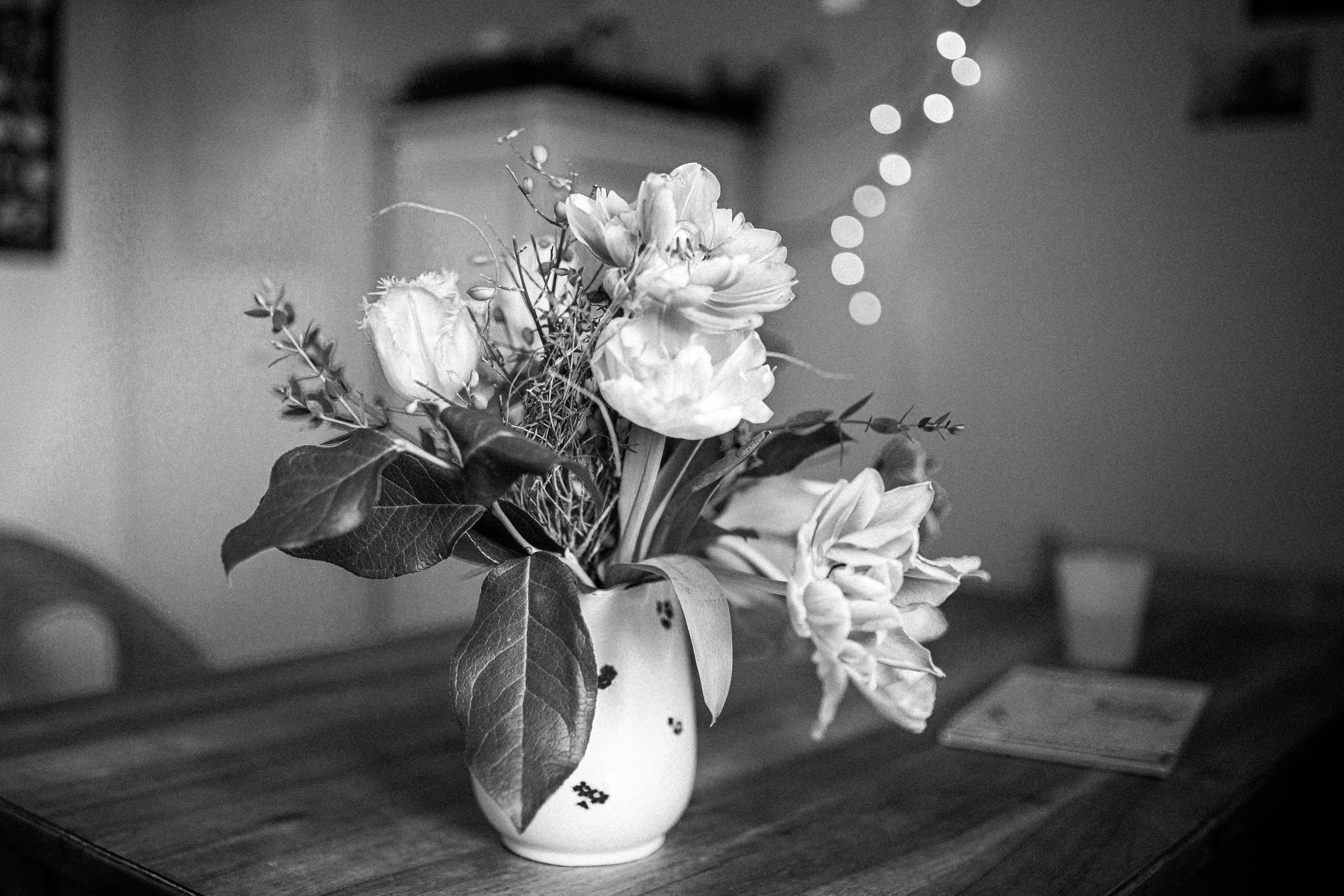 Photo by corina_rainer_