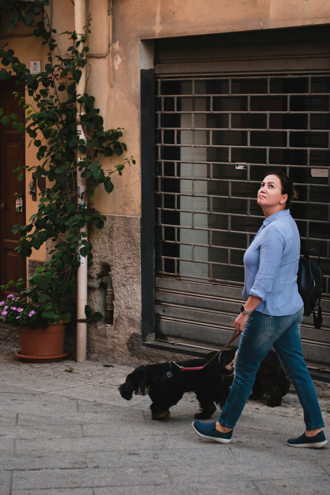 man in blue dress shirt and blue denim jeans holding black dog leash