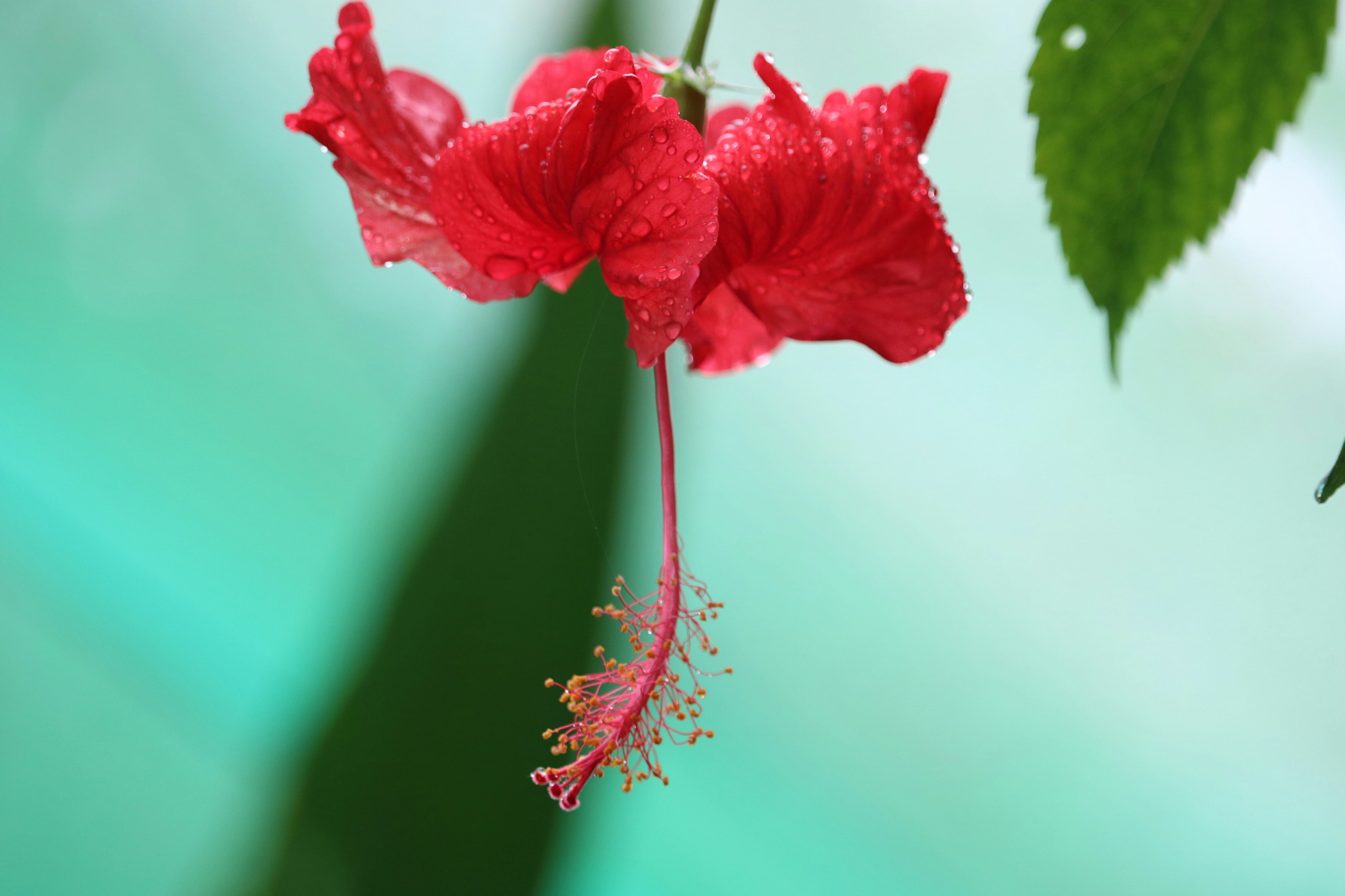 Photo by irinamarie__