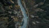 Aerial shot captured by a drone showing a winding river through a forest.
