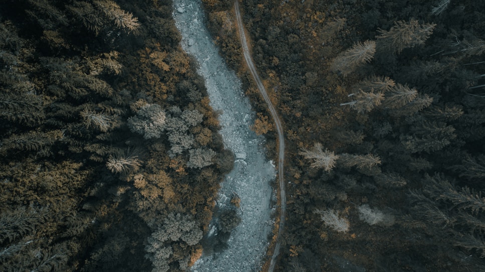 A breathtaking aerial shot of a winding river cutting through a lush green forest at sunset.