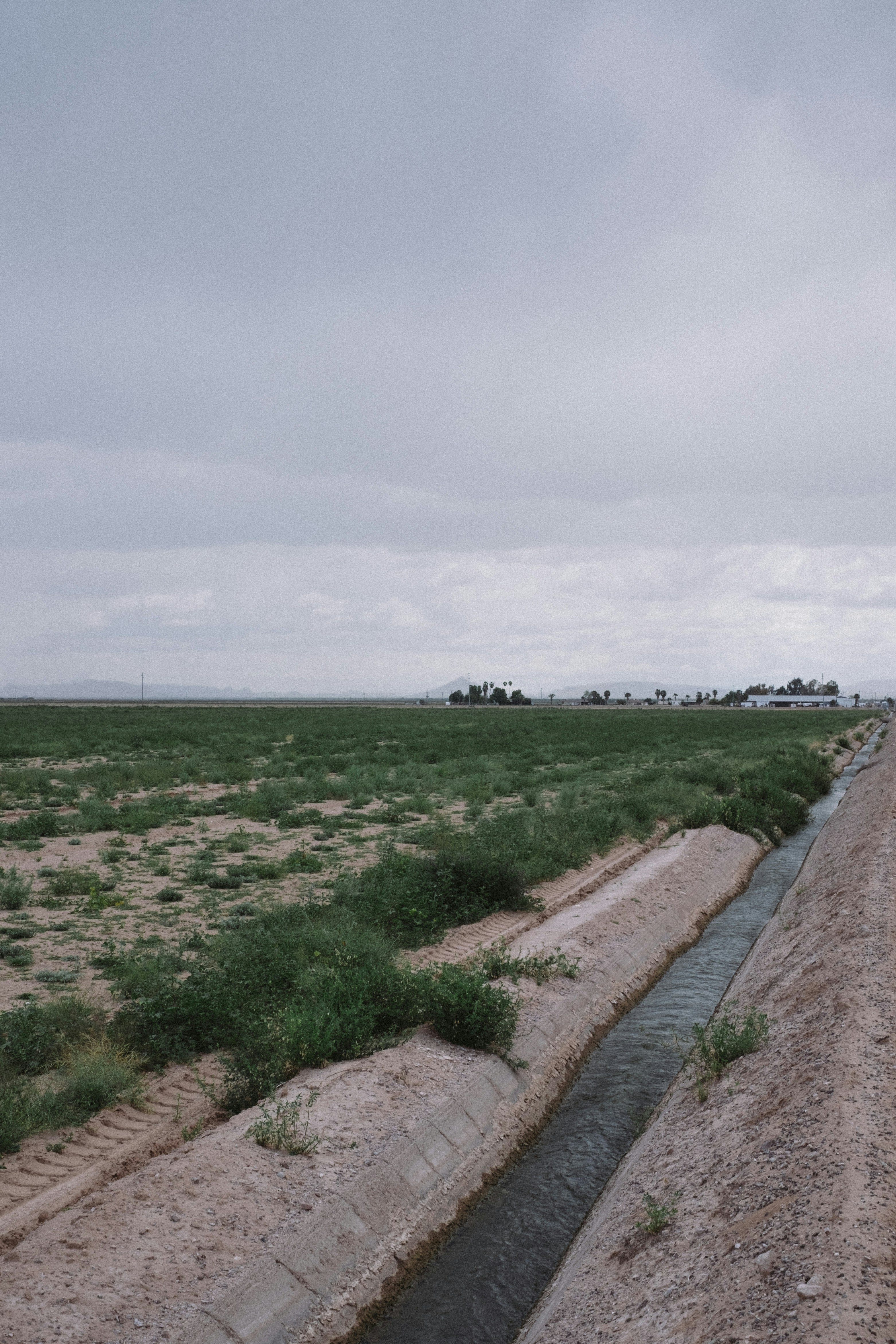 green grass field under white clouds during daytime