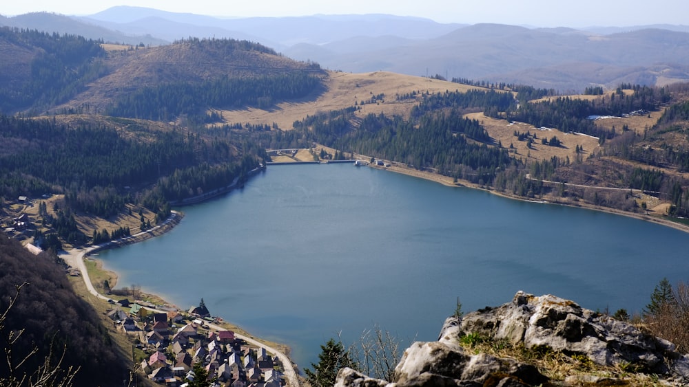 aerial view of green trees and lake during daytime