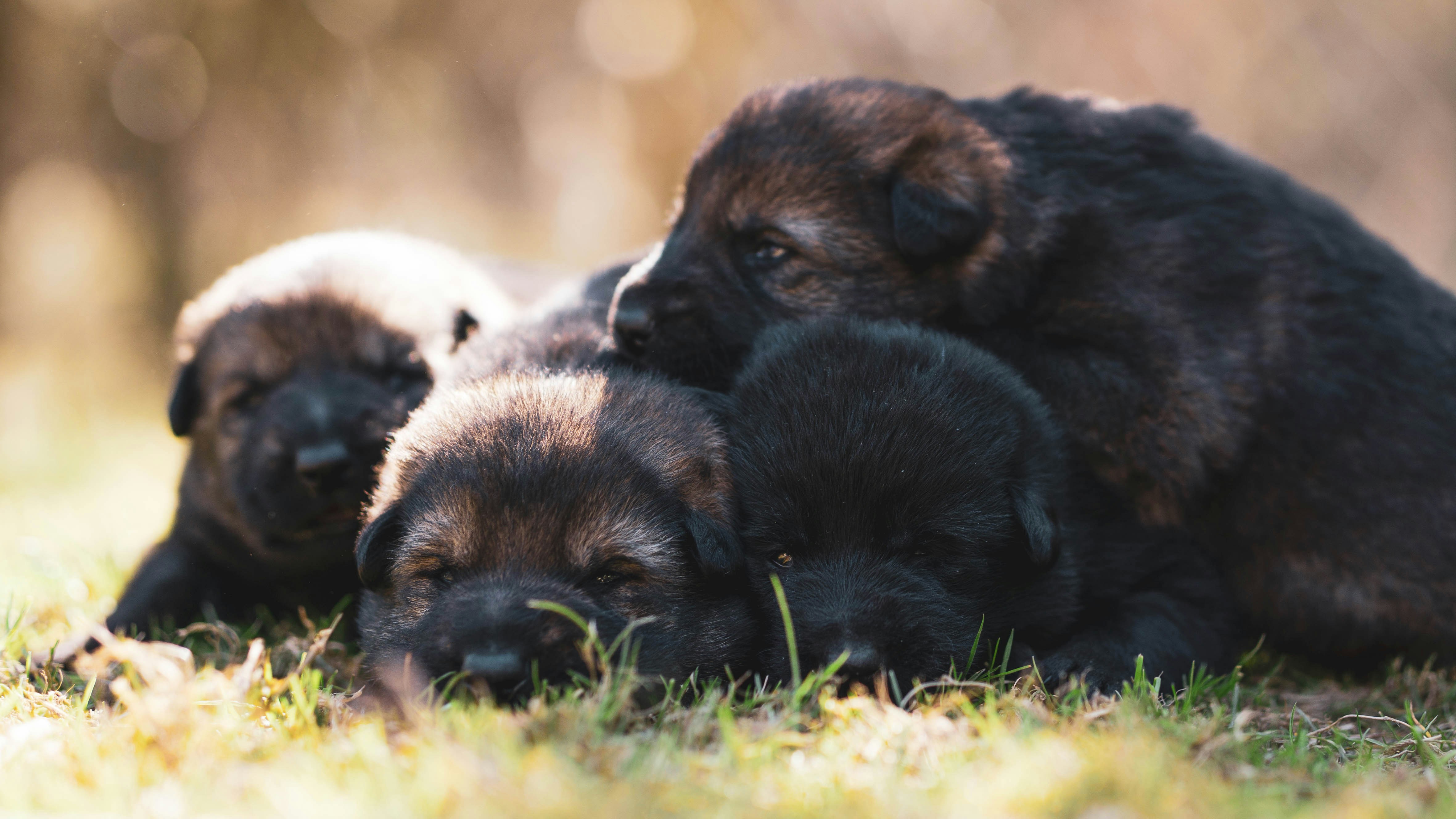 Photo by annadudkova