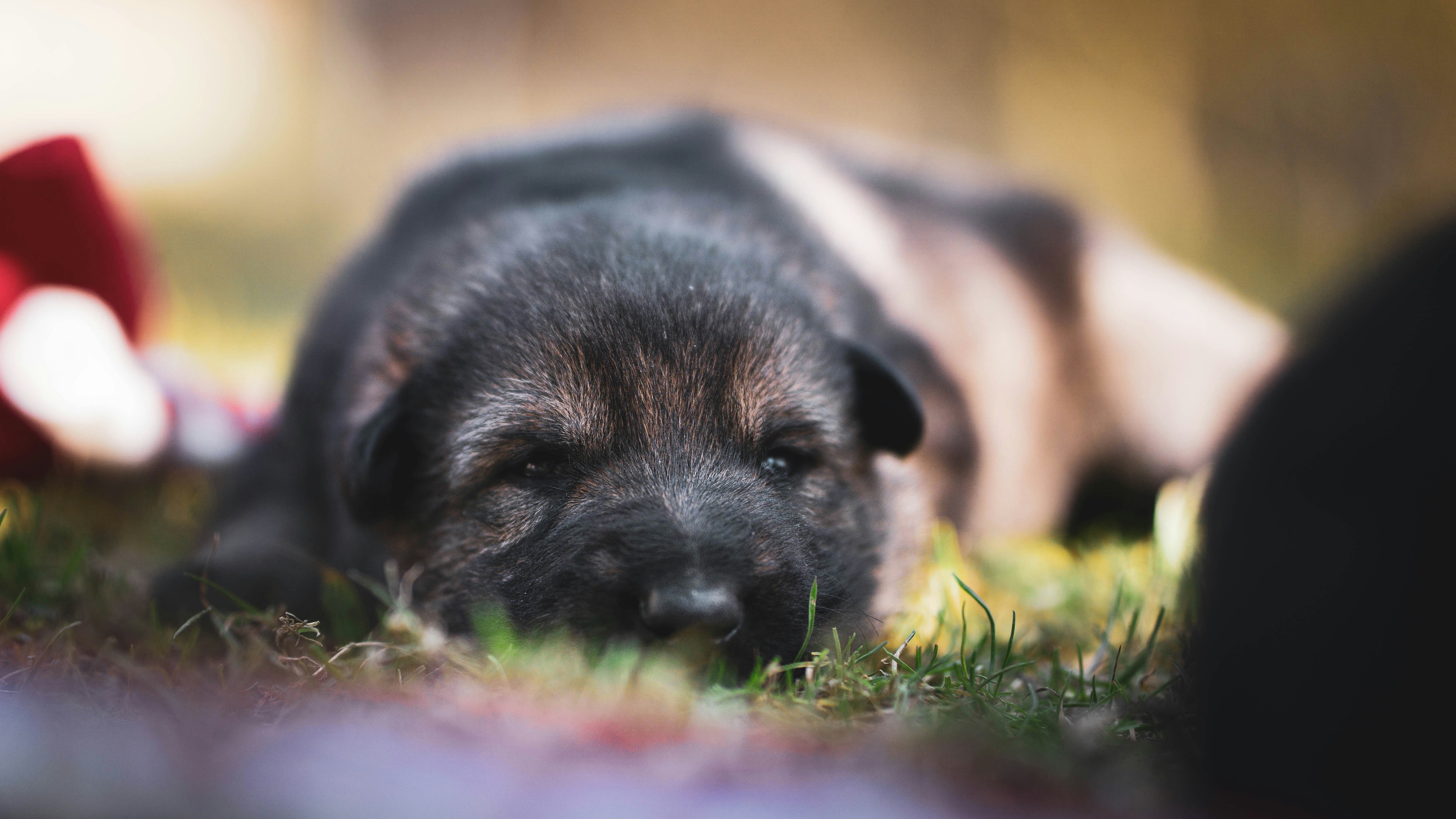 Photo by annadudkova