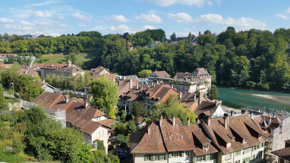 brown and white houses near green trees under blue sky during daytime