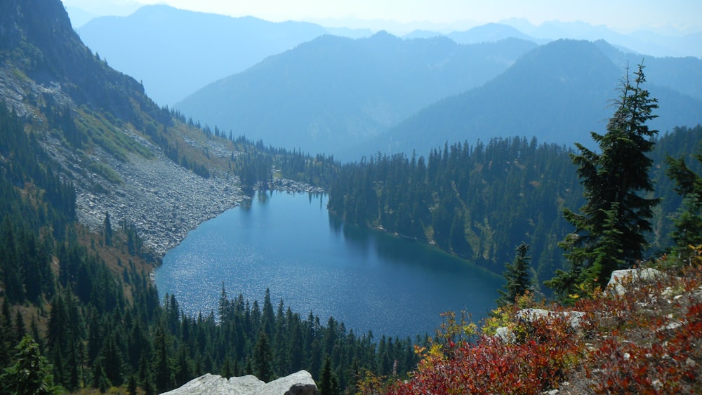 lake in the middle of forest during daytime