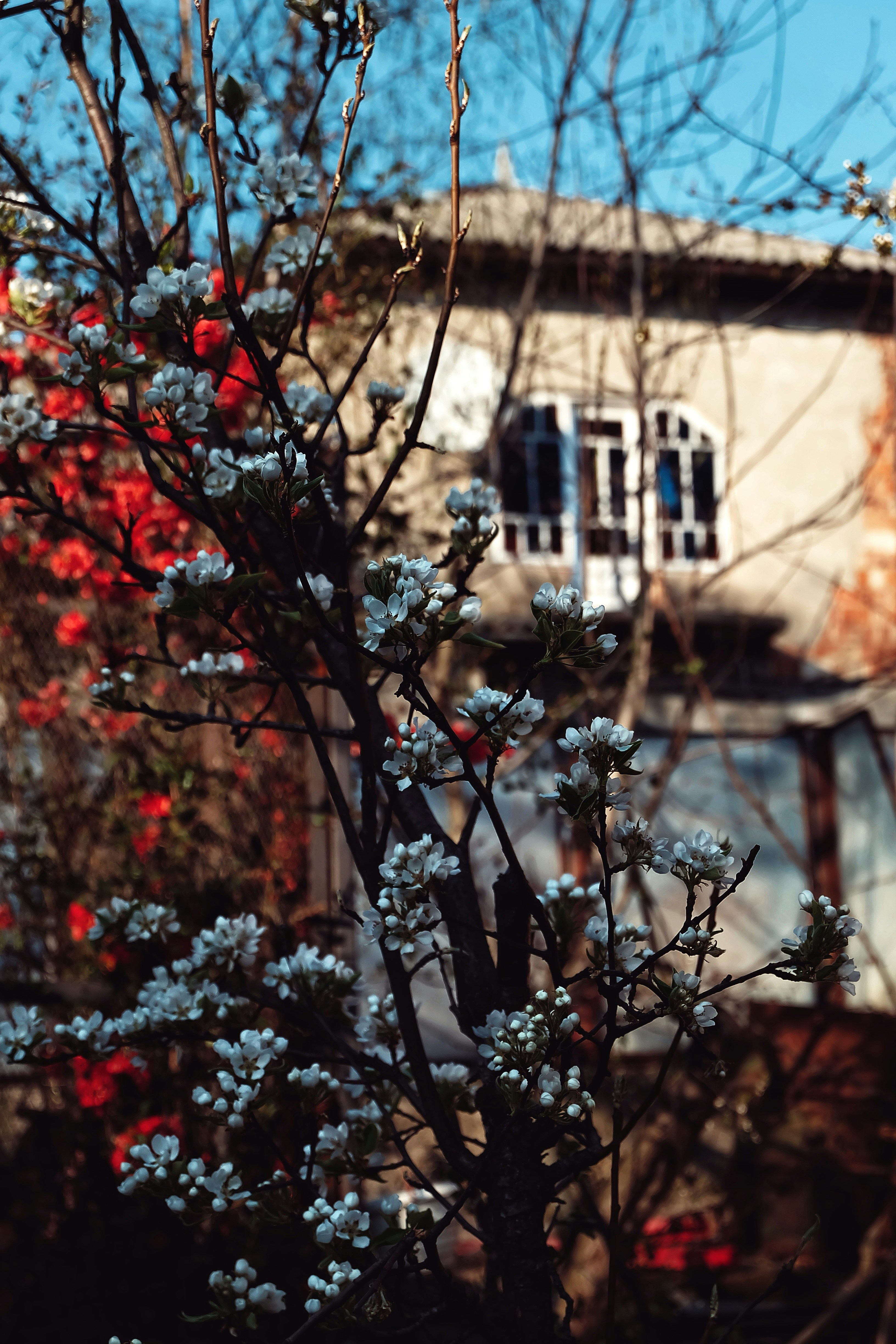 Photo by bardashka