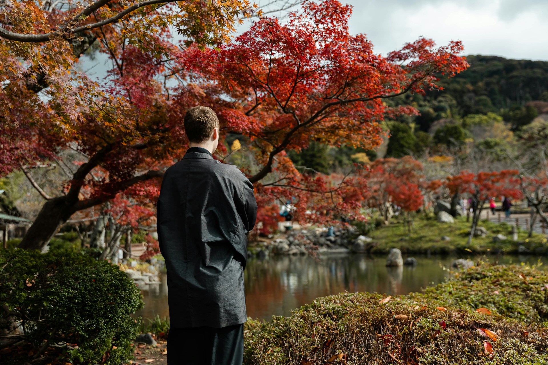 man in black suit standing near red leaf tree during daytime