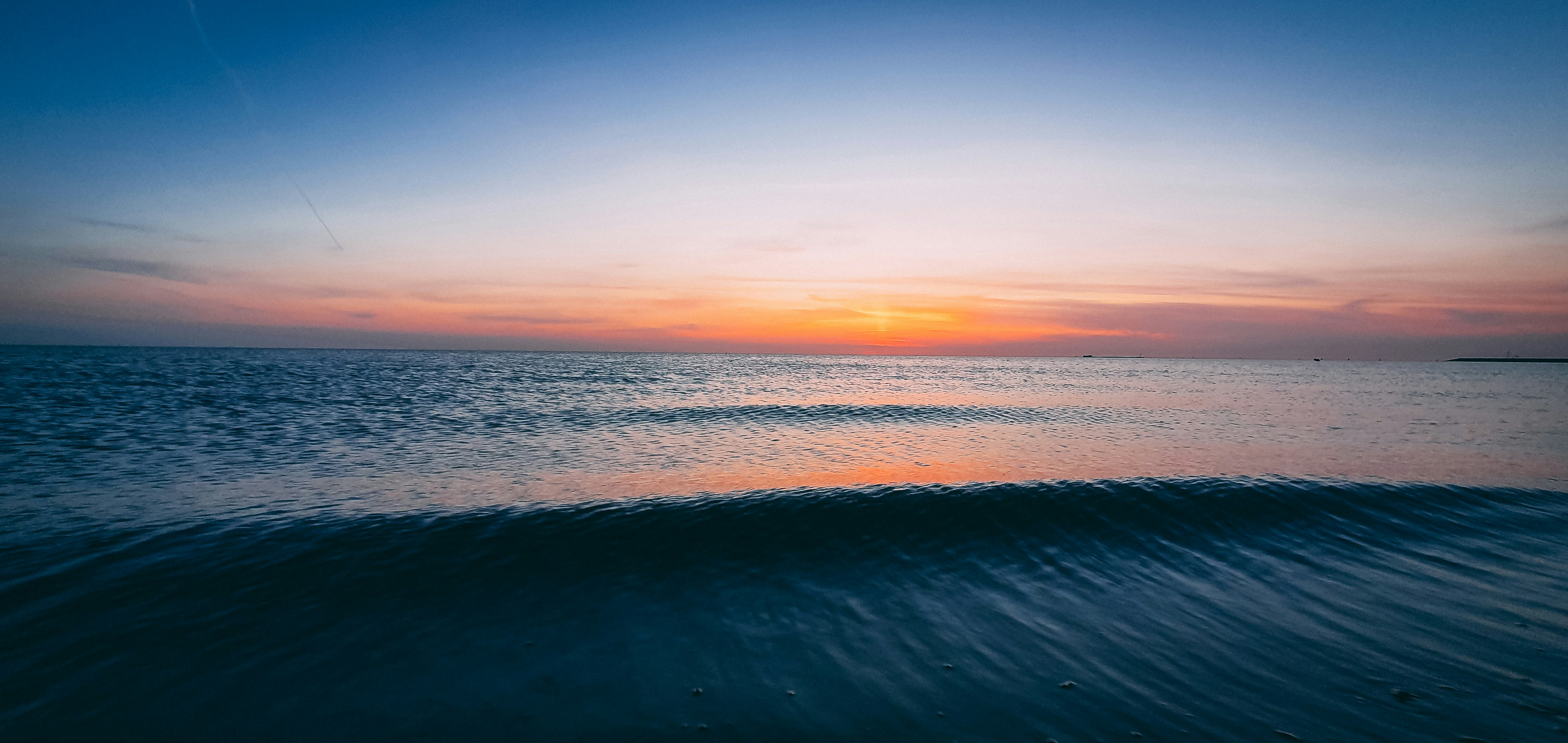 Photo by gewoonwouter