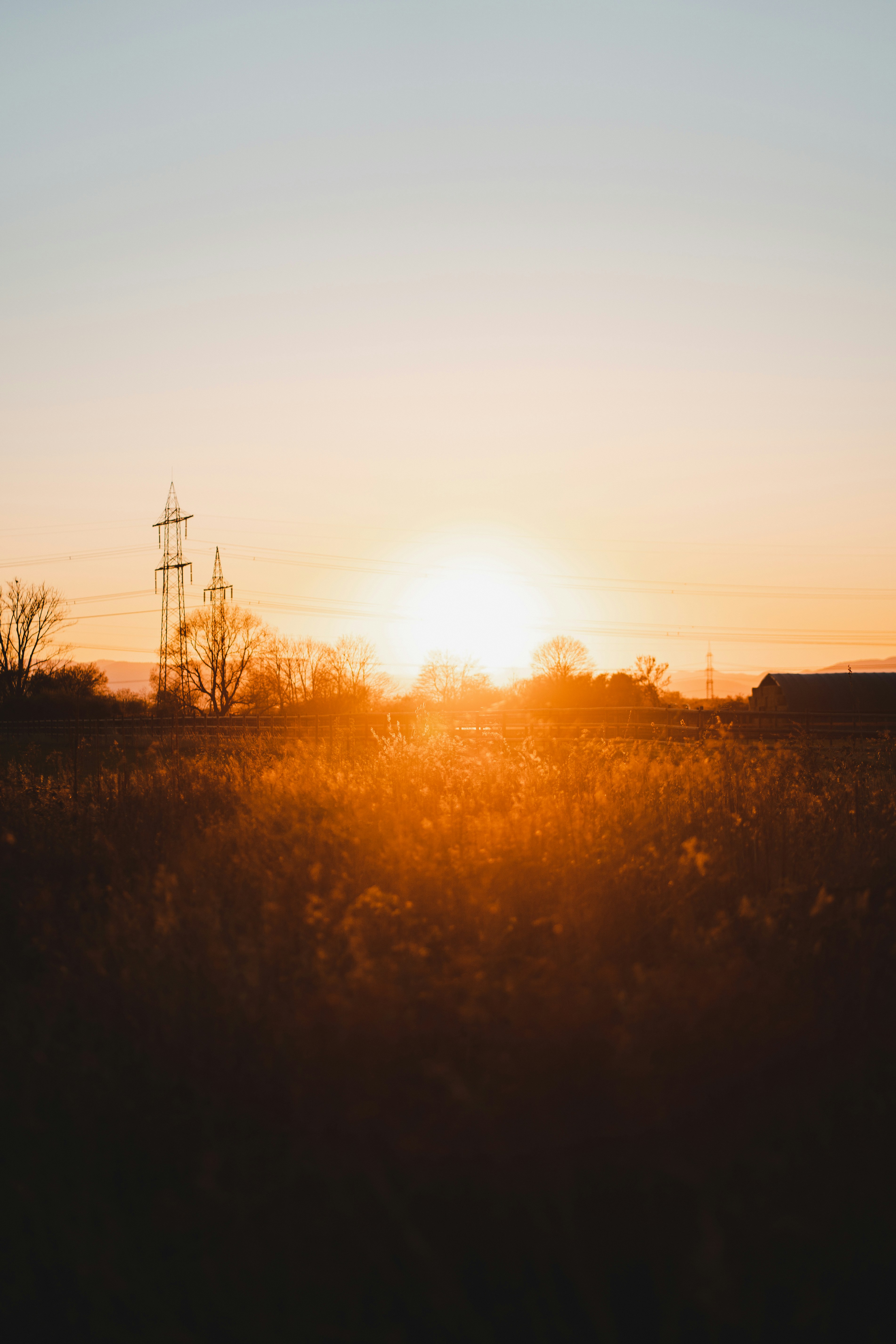 Photo by schiepatrick