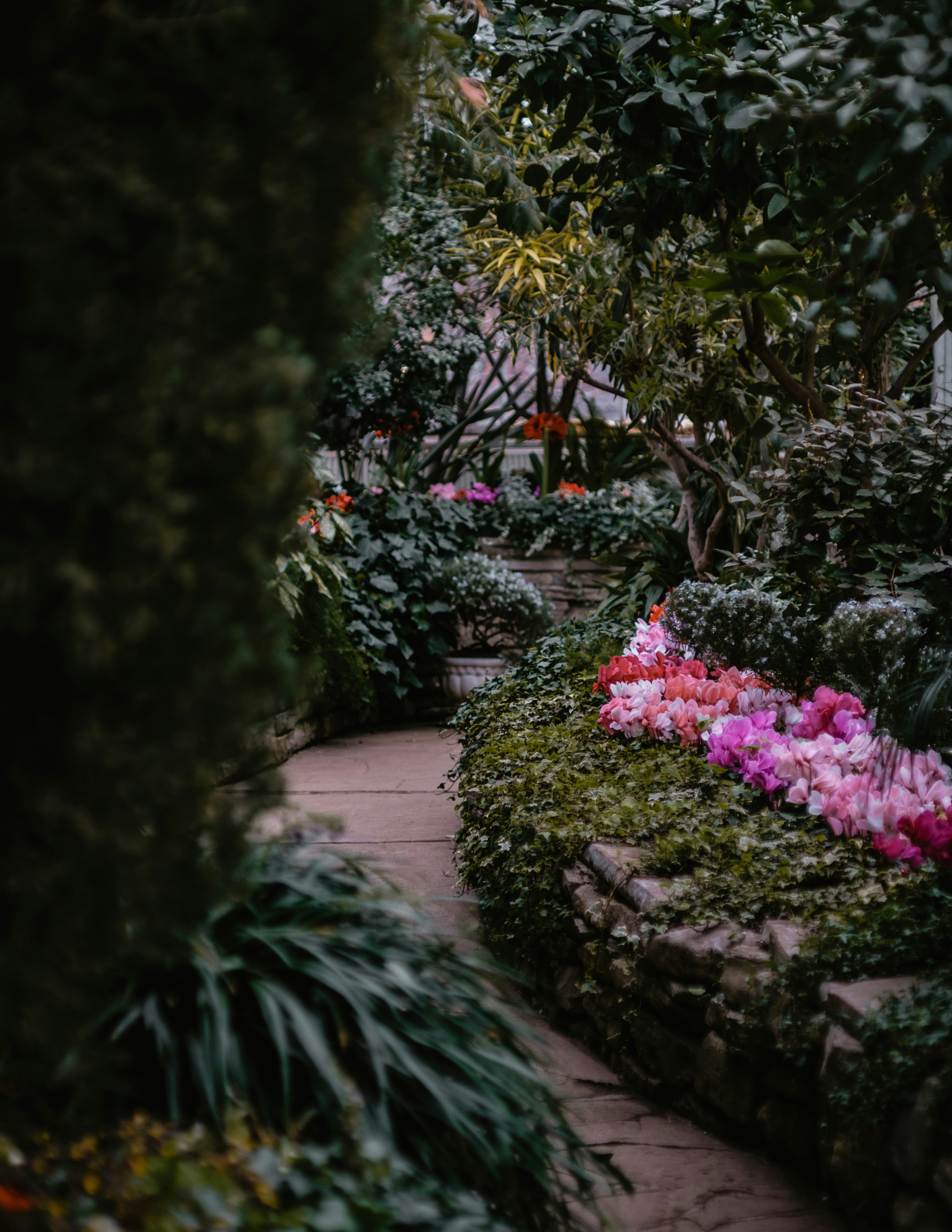 Photo by thombradley