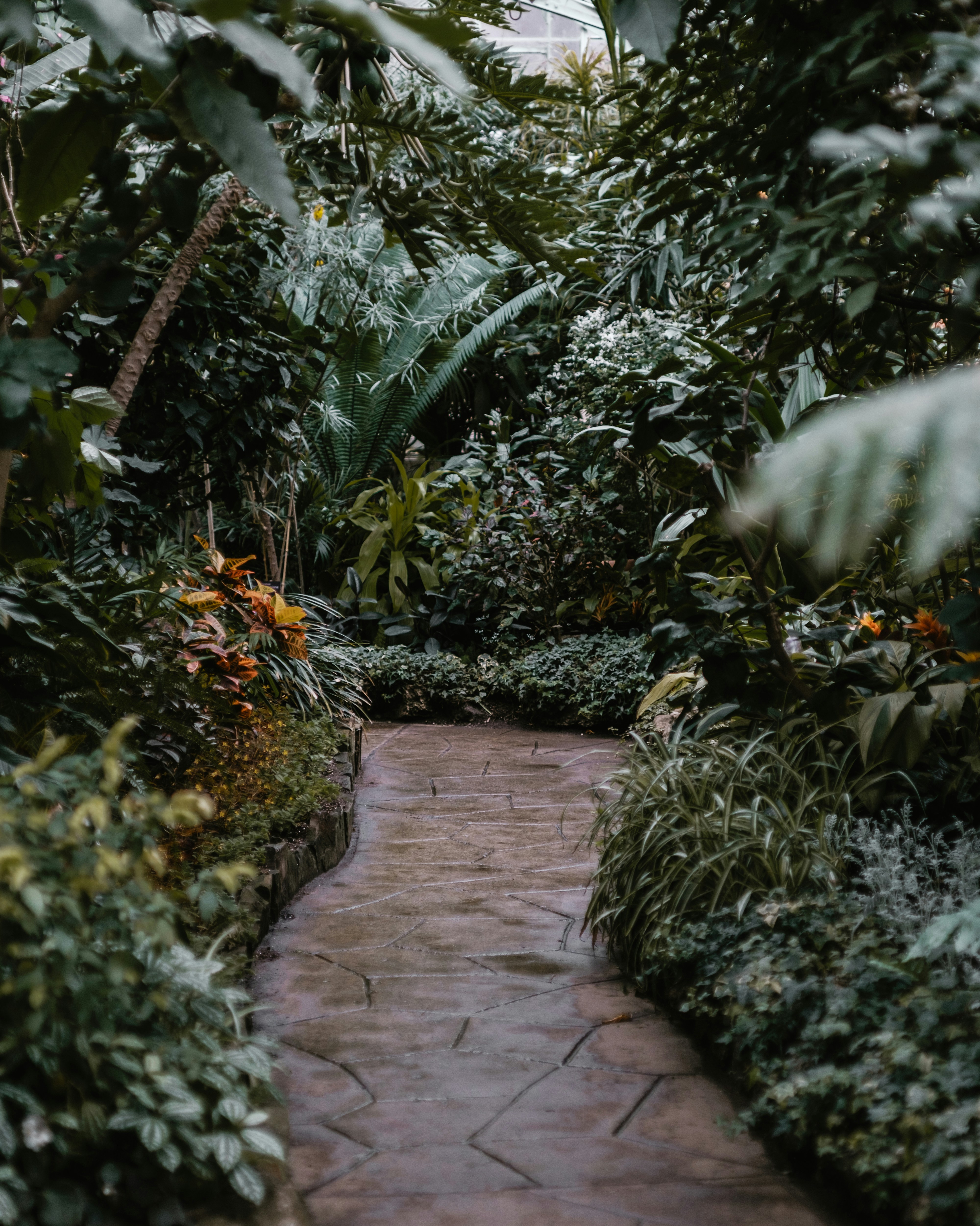 Photo by thombradley