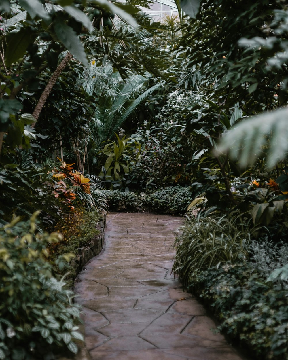 brown brick pathway between green plants