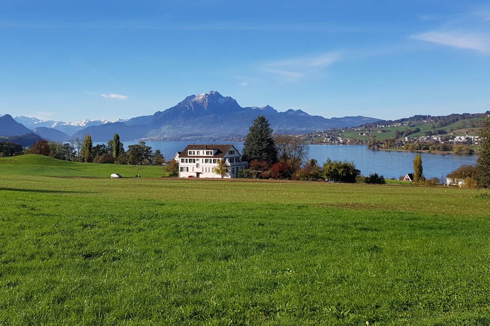 white and brown house on green grass field near lake under blue sky during daytime