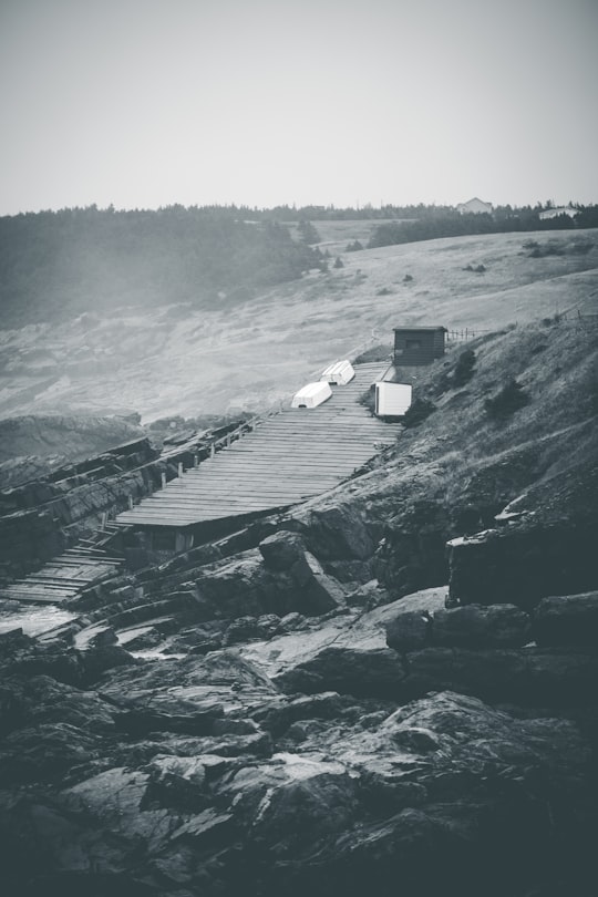 photo of Pouch Cove Ocean near Cape Spear