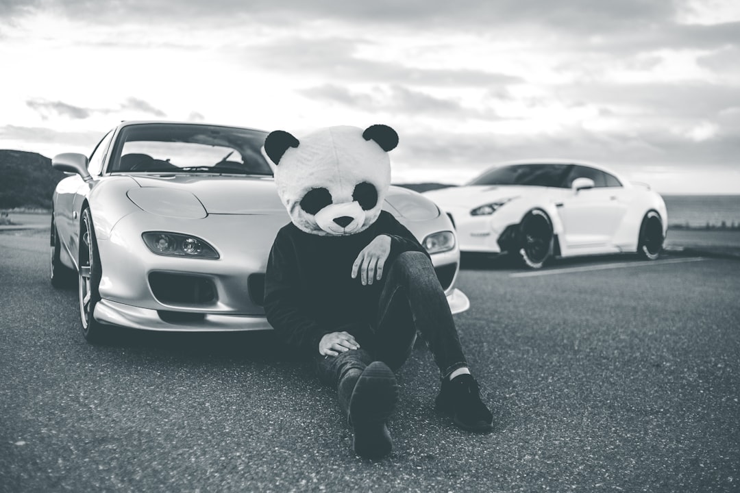 person in panda costume sitting on white car