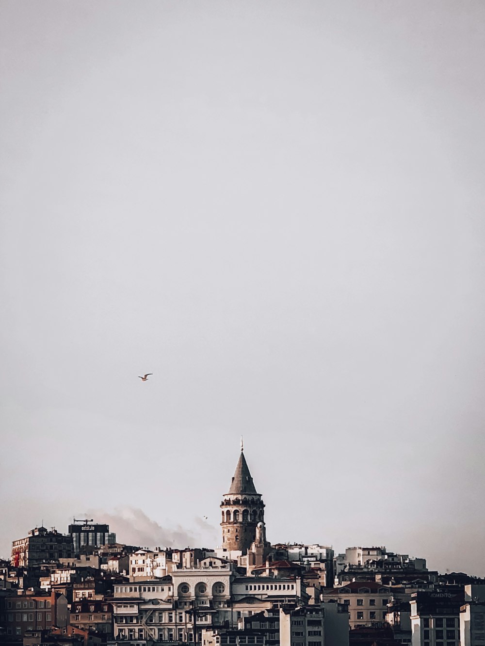 birds flying over city buildings during daytime