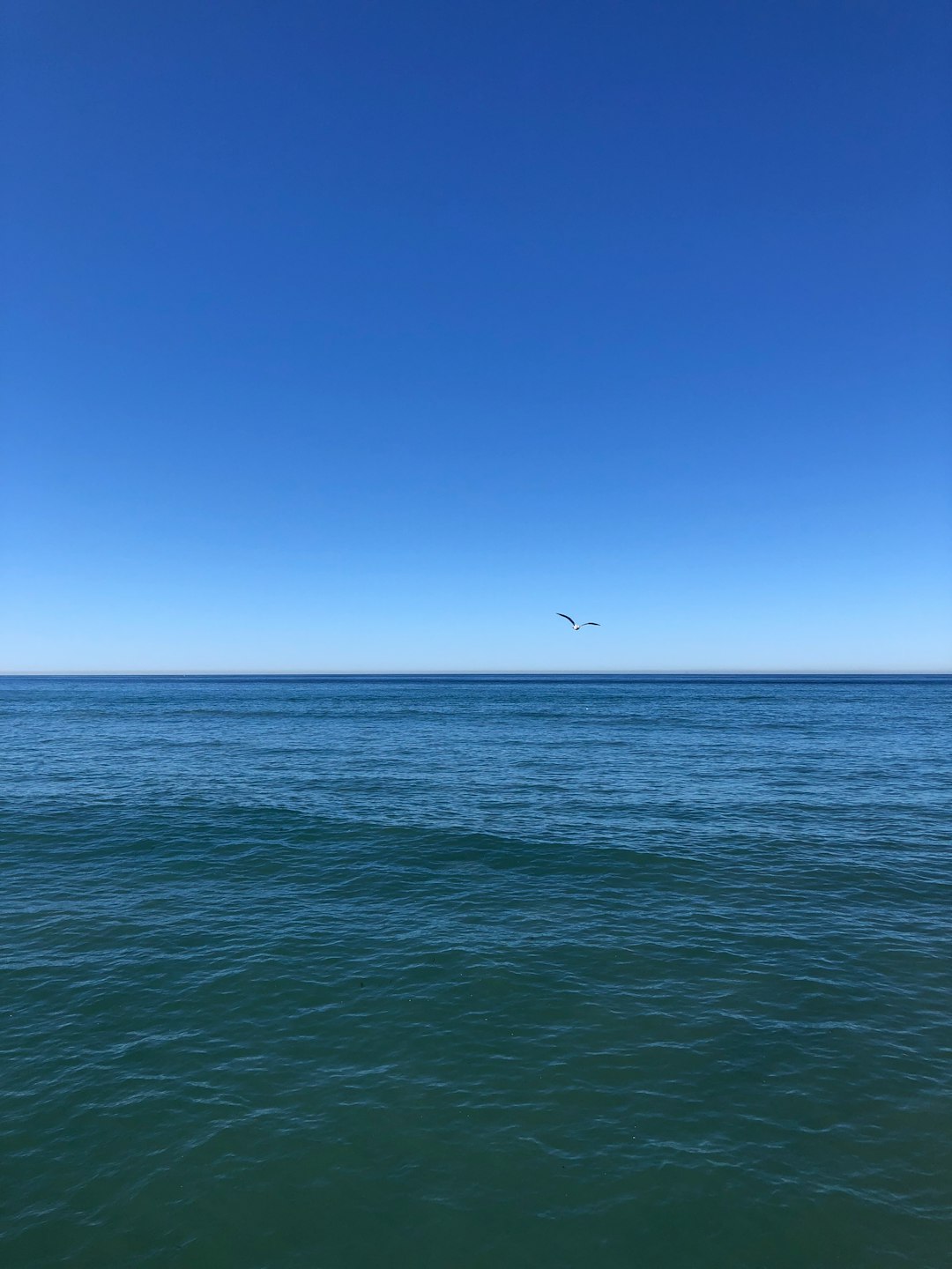 Ocean photo spot Pacific Ocean Point Loma