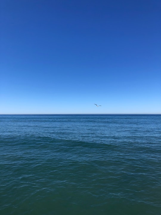 photo of Pacific Ocean Ocean near San Diego