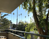 Peaceful balcony view overlooking green trees and a quiet street.