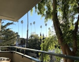 Balcony view showing lush greenery and peaceful surroundings.