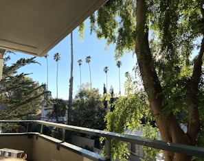 Balcony view overlooking a peaceful neighborhood with greenery