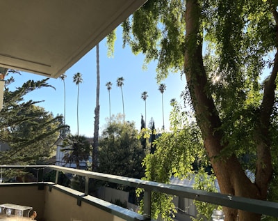 Balcony view overlooking a quiet street with trees.