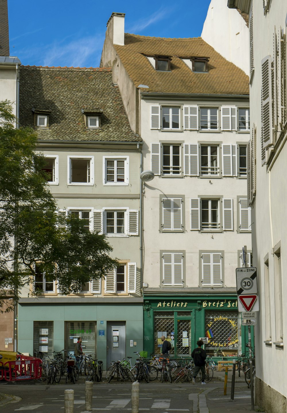 grüner Baum vor weiß-braunem Betonhaus