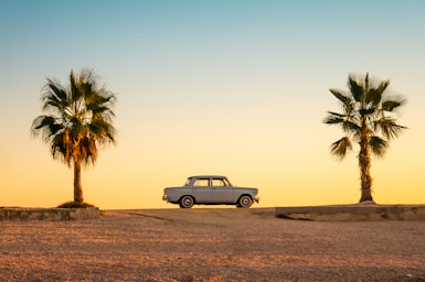 balance and symmetry for photo composition,how to photograph white and black car on brown sand during daytime